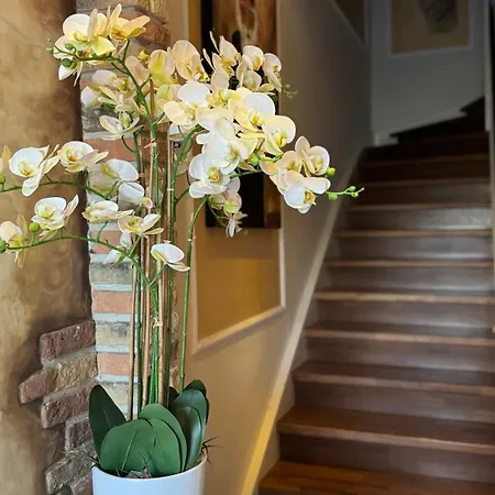 Apartment 2 Beim Restaurant Rhodos *